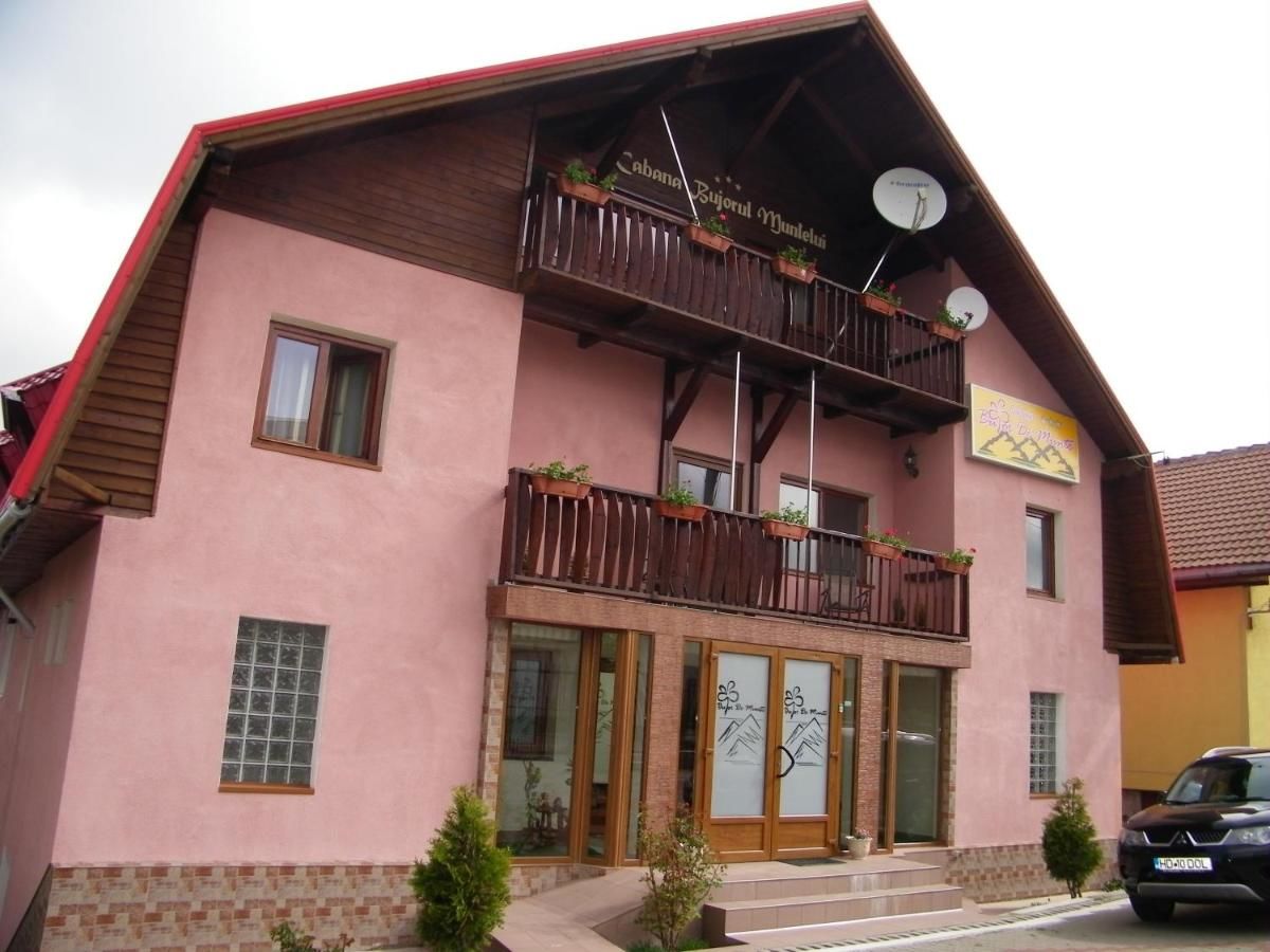 Отель Cabana Bujor de munte Петрошани-4